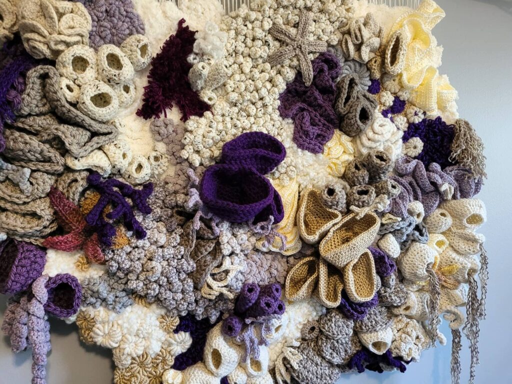reef 4